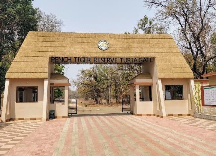PENCH TIGER RESERVE MAIN GATE AWARD WINNING DESIGN (2021) (MP)